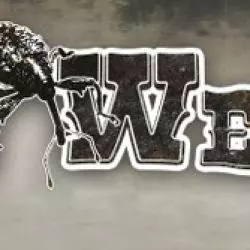 Beau Weevils
