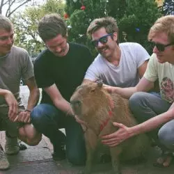 Capybara