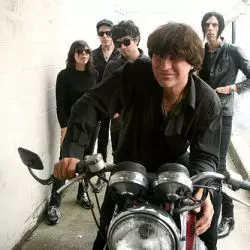 ChameleonsVox