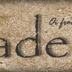 Crusaders
