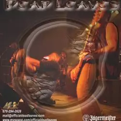 Dead Leaves