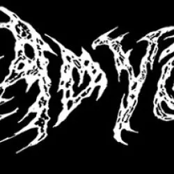 Dead Void