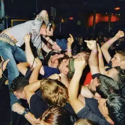Evergreen Terrace