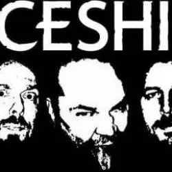 Faceshift