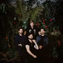 Foals