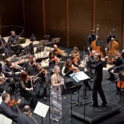 Orchestra Of Colours