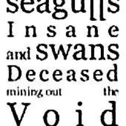 Seagulls Insane And Swans Deceased Mining Out The Void
