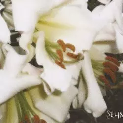 Sehnsucht