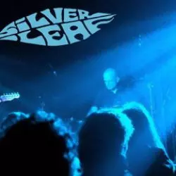 Silverleaf