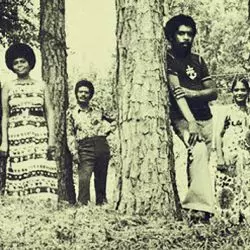 The Descendants Of Mike And Phoebe