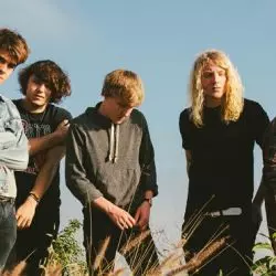 The Orwells
