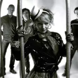 The Primitives