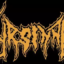 Ursinne