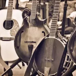 Bluegrass