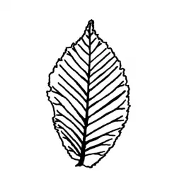 Fading Trails Recordings