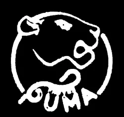 Fauves Puma