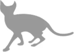 SR 猫柳本線