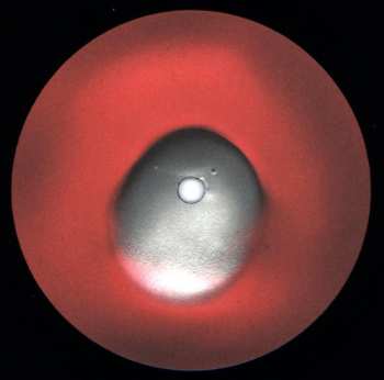 LP -123 min.: Dream