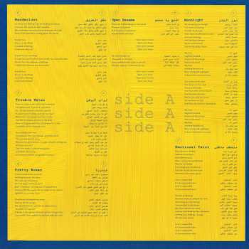 LP نيسم جلال: Migrant Birds