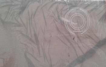 LP (0): SkamHan  LTD