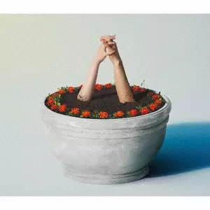 マリーゴールド