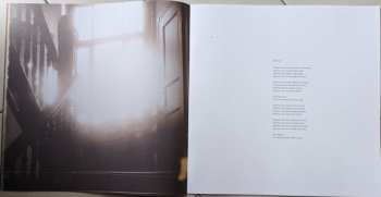 3LP 40 Watt Sun: Perfect Light LTD | CLR