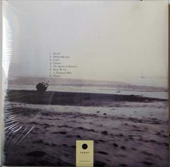 3LP 40 Watt Sun: Perfect Light LTD | CLR