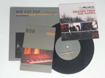 SP 808 Dot Pop: Blackbodies (Dislocation) LTD