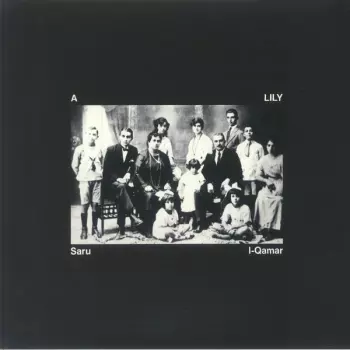 A Lily:  Saru L-Qamar