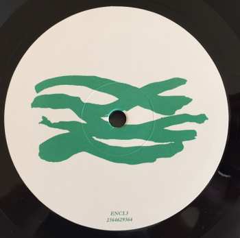 LP The Waterboys: A Pagan Place