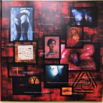 2LP A Perfect Circle: Mer De Noms LTD