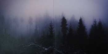 LP A Swarm Of The Sun: The Woods LTD | CLR