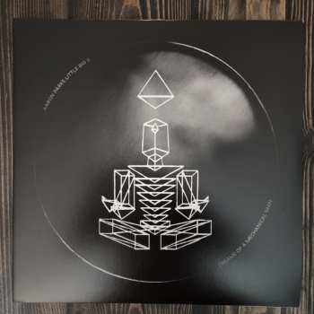 2LP Aaron Parks: Little Big II: Dreams Of A Mechanical Man LTD | CLR