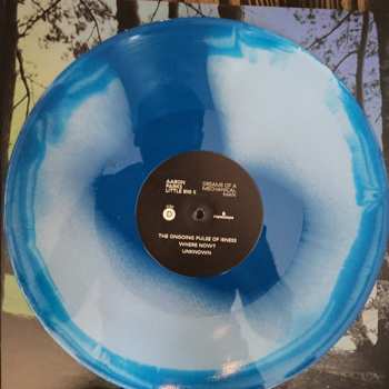 2LP Aaron Parks: Little Big II: Dreams Of A Mechanical Man LTD | CLR