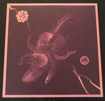 Album Jon Mueller: Now That You've Found It