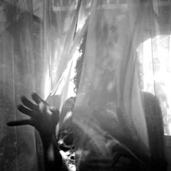 CD Abe Vigoda: Crush