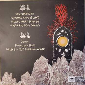 LP Abronia: Shapes Unravel