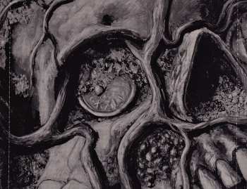 CD Abscession: Grave Offerings