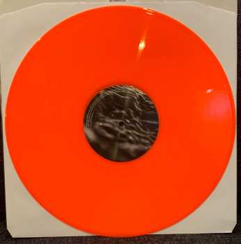 LP Acceptance: Wild, Free CLR