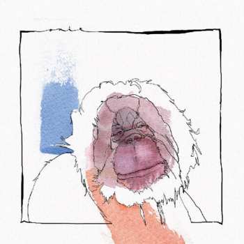 Album Acid Pauli: Had To Get Rid Of Some Shit