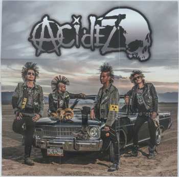 CD Acidez: Beer Drinkers Survivors