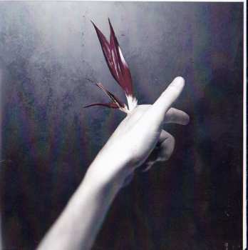 CD Acretongue: Strange Cargo