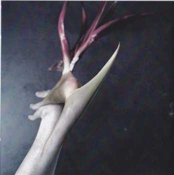 CD Acretongue: Strange Cargo