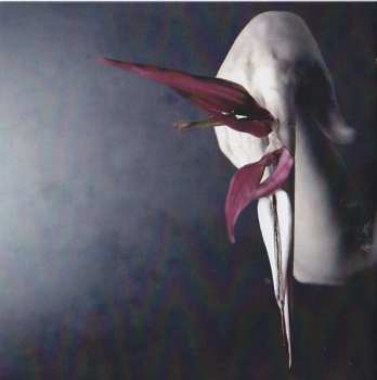 CD Acretongue: Strange Cargo