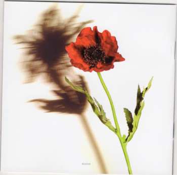 CD Adamo: Si Vous Saviez...