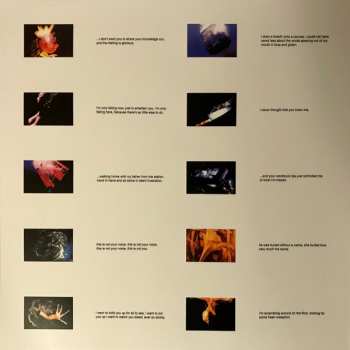 LP Adorable: Against Perfection