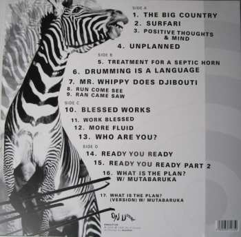 2LP African Head Charge: Vision Of A Psychedelic Africa