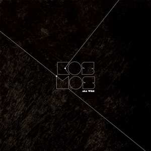 Album Aga Wilk: Kosmos