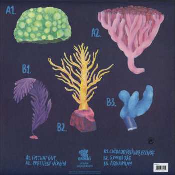 LP Agar Agar: Cardan