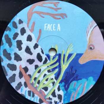 LP Agar Agar: Cardan